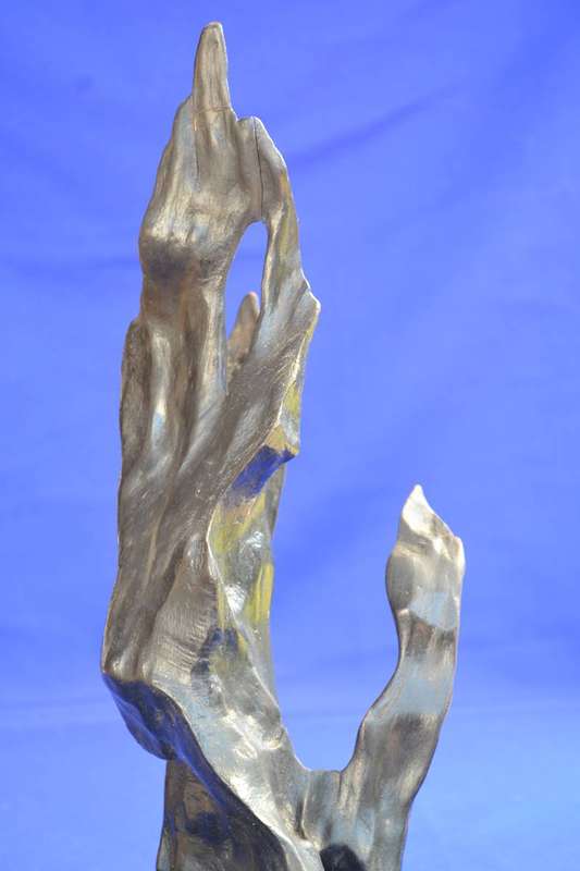 Japanese Charred Cedar Root Sculpture