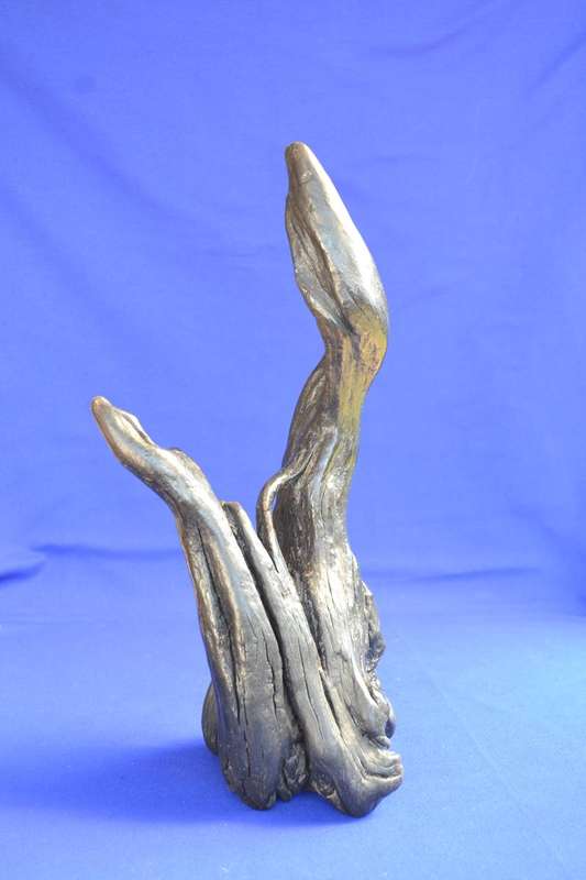 Japanese Charred Cedar Root Sculpture