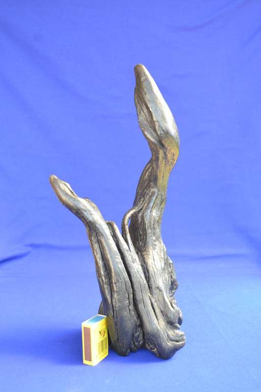 Japanese Charred Cedar Root Sculpture