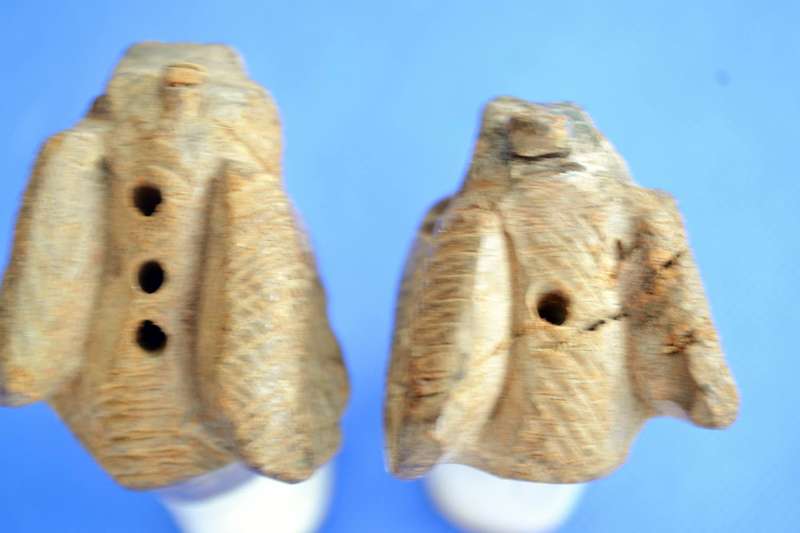 Studio Pottery Cruet Set and Bone Salt and Pepper Shakers