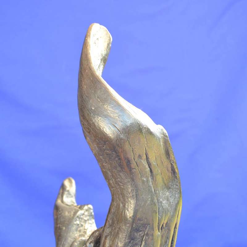 Japanese Charred Cedar Root Sculpture