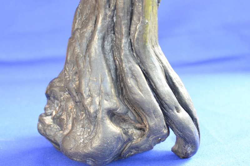 Japanese Charred Cedar Root Sculpture
