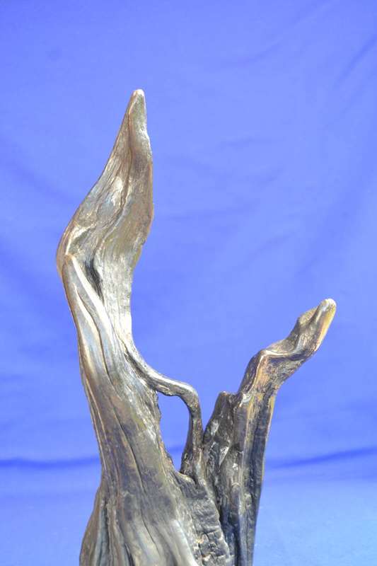 Japanese Charred Cedar Root Sculpture