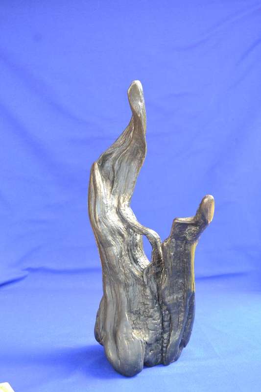 Japanese Charred Cedar Root Sculpture