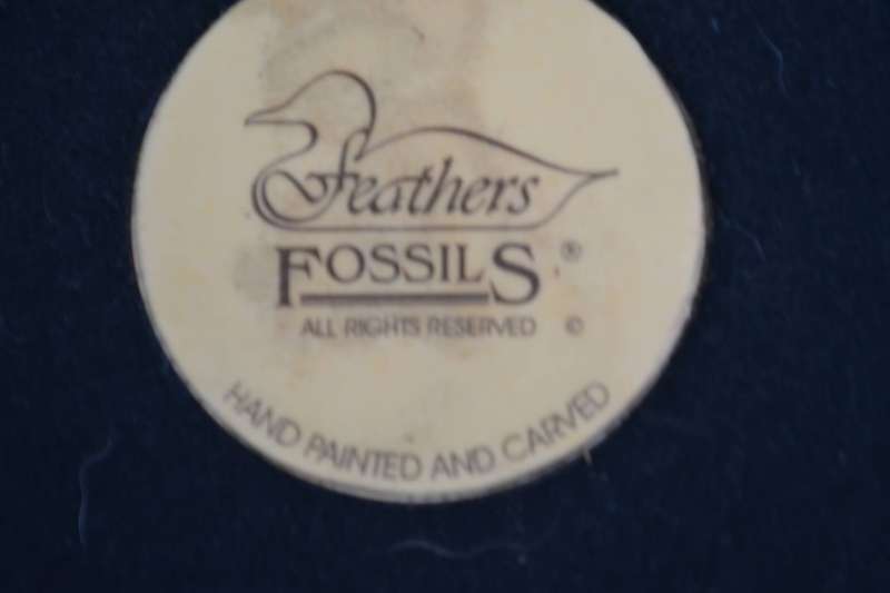 Knysna Feathers Fossils Hand Carved and Hand Painted  Little Egret