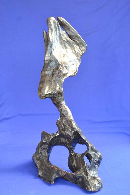 Japanese Charred Cedar Root Sculpture