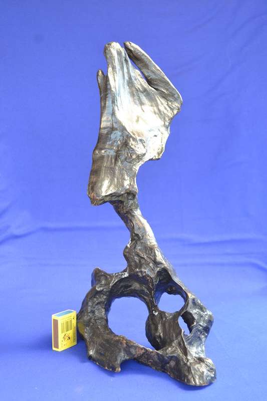 Japanese Charred Cedar Root Sculpture