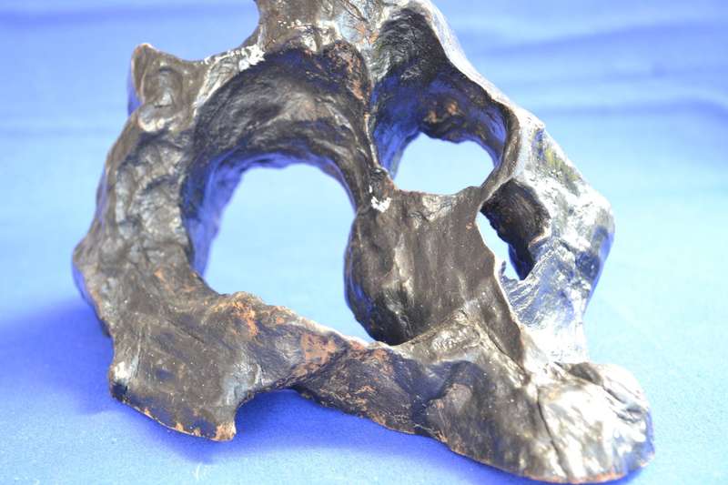 Japanese Charred Cedar Root Sculpture