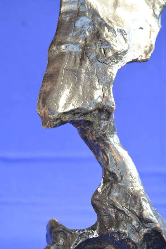 Japanese Charred Cedar Root Sculpture
