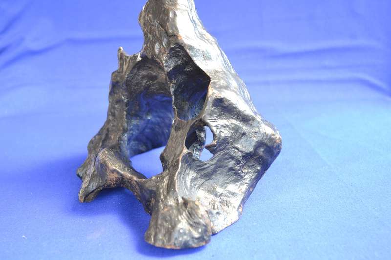 Japanese Charred Cedar Root Sculpture