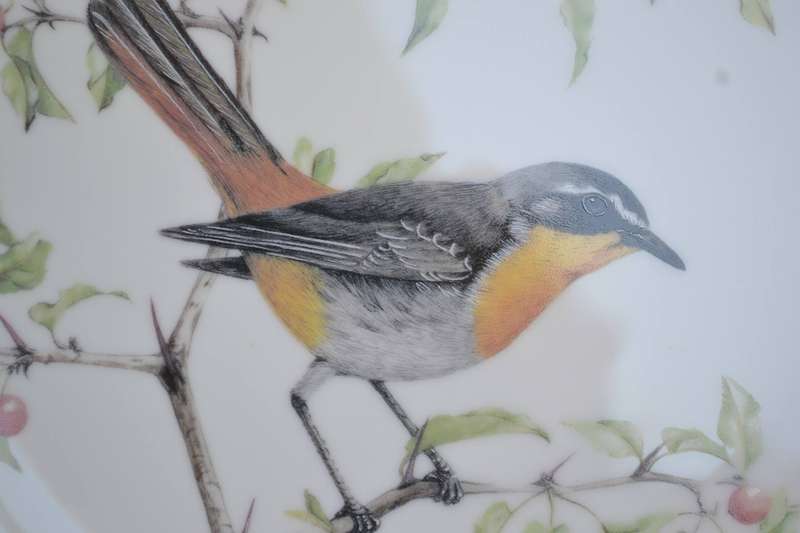 Heritage Porcelain Best Loved Birds of Southern Africa Collectors Plate - Cape Robin