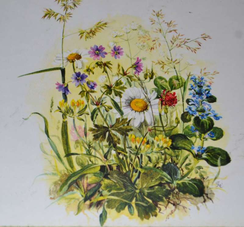 Vintage Boxed Set of 8 Sheraton Table / Place Mats Country Flowers
