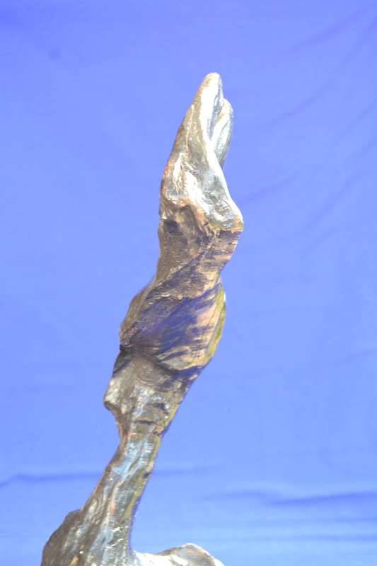 Japanese Charred Cedar Root Sculpture