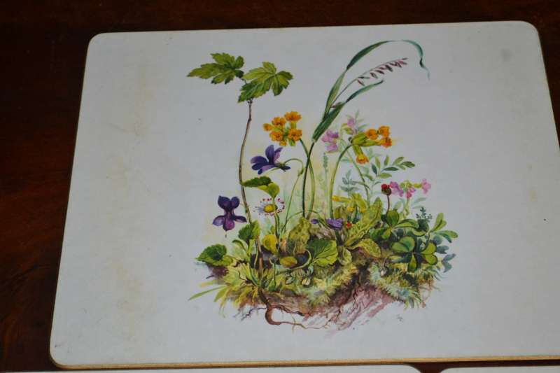 Vintage Boxed Set of 8 Sheraton Table / Place Mats Country Flowers