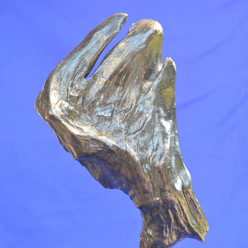 Japanese Charred Cedar Root Sculpture