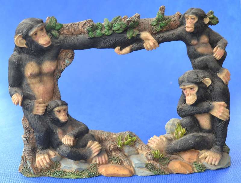 Vintage Quirky Chimpanzee Toilet Roll Holder and Picture Frame