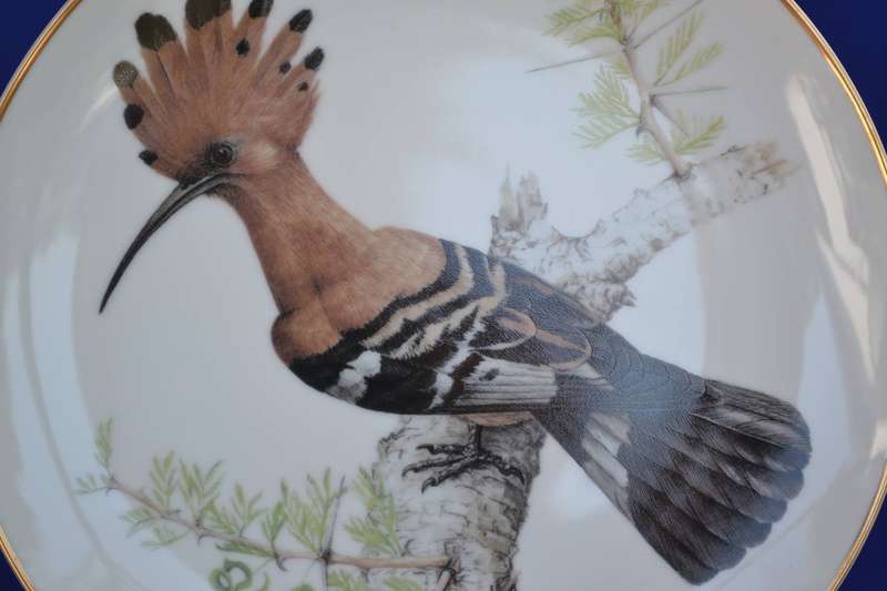 Heritage Porcelain Best Loved Birds of Southern Africa Collectors Plate - African Hoopoe