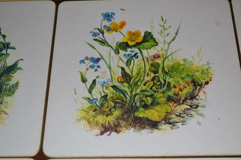 Vintage Boxed Set of 8 Sheraton Table / Place Mats Country Flowers