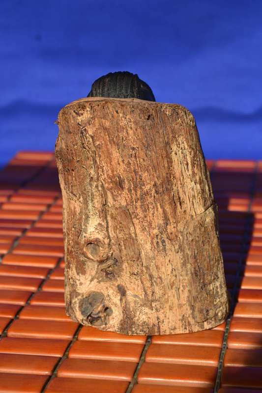 Vintage Hand Carved African Hard Wood head / Bust c1970's
