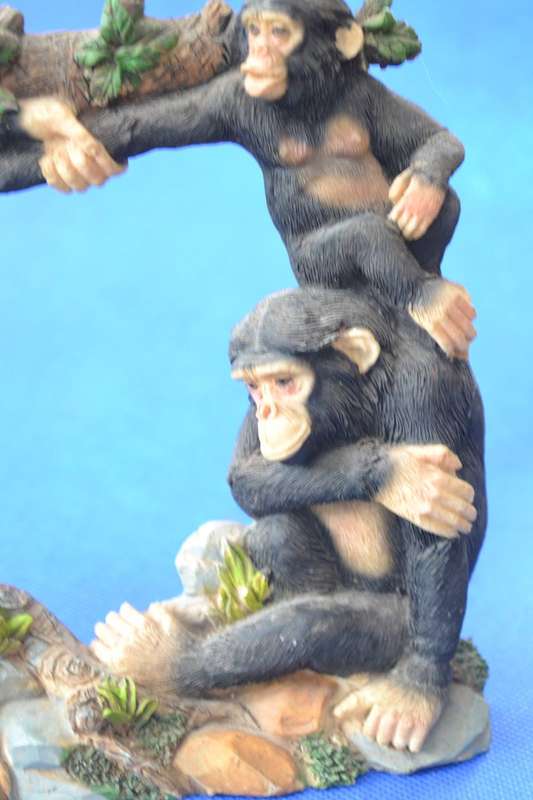 Vintage Quirky Chimpanzee Toilet Roll Holder and Picture Frame