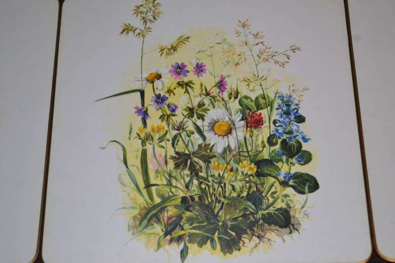 Vintage Boxed Set of 8 Sheraton Table / Place Mats Country Flowers