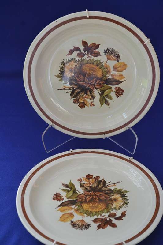 Vintage Midwinter Pottery Plates - October Pattern