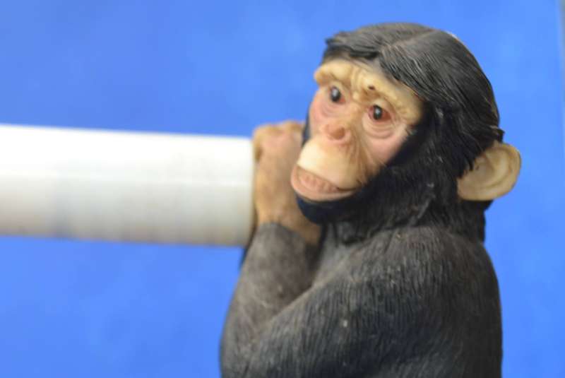 Vintage Quirky Chimpanzee Toilet Roll Holder and Picture Frame