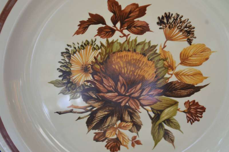 Vintage Midwinter Pottery Plates - October Pattern