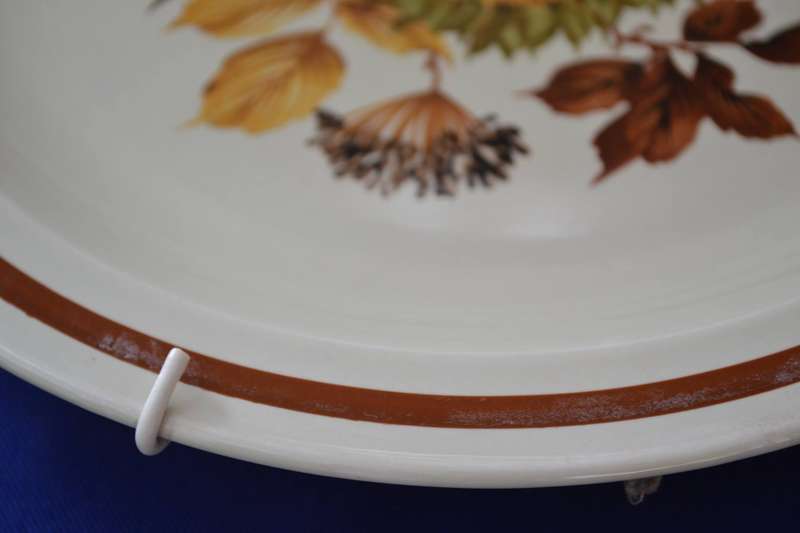 Vintage Midwinter Pottery Plates - October Pattern