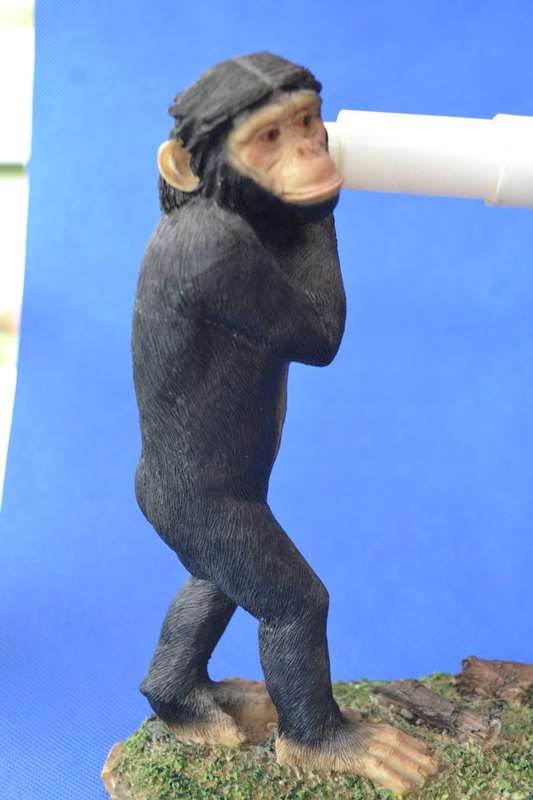 Vintage Quirky Chimpanzee Toilet Roll Holder and Picture Frame
