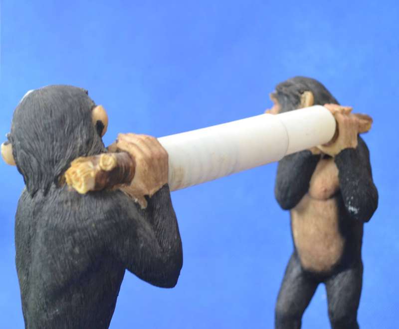 Vintage Quirky Chimpanzee Toilet Roll Holder and Picture Frame