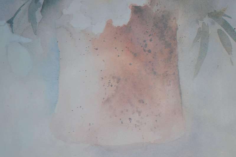 Original Watercolours by Donna Beaubien