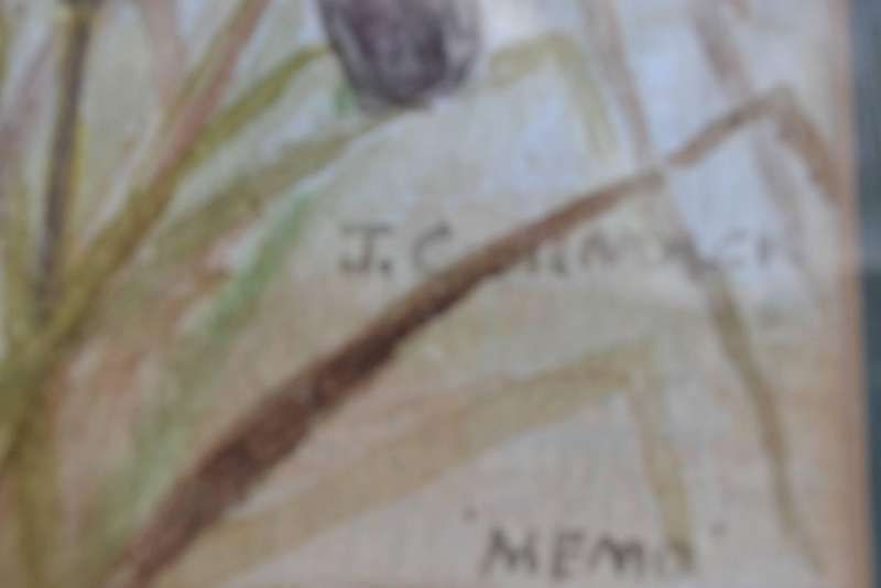 Original Paintings Signed by the Artist x 3