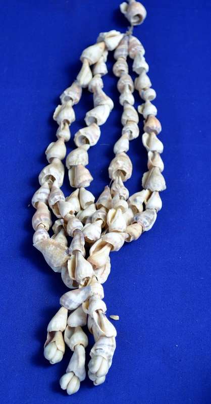 Vintage  Natural East African Sea Shell Neck Adornment / Necklace