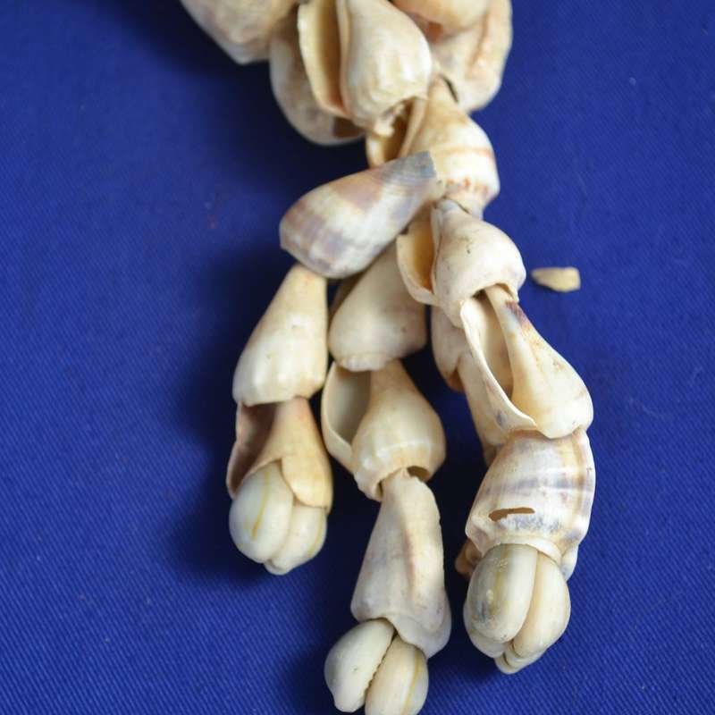 Vintage  Natural East African Sea Shell Neck Adornment / Necklace