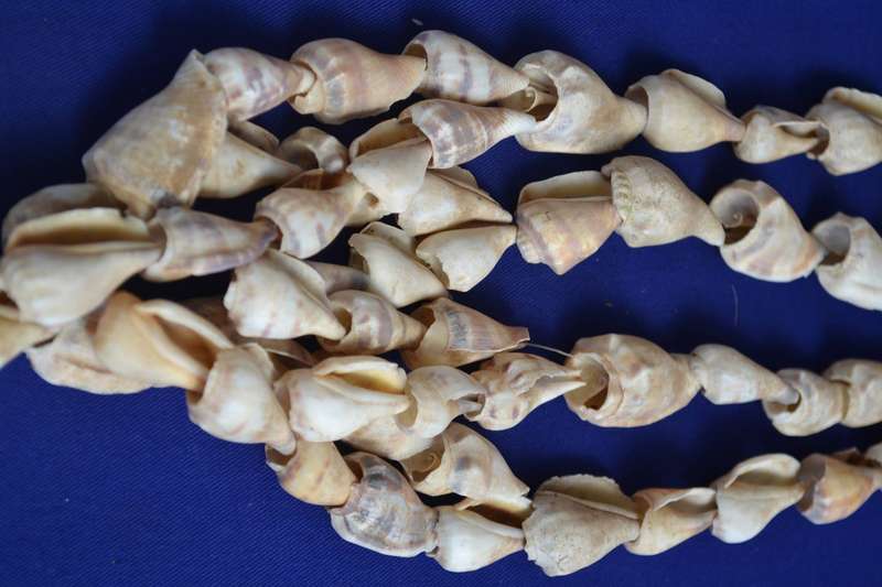 Vintage  Natural East African Sea Shell Neck Adornment / Necklace