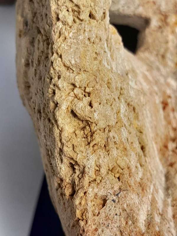 Fossilized  Carved Coral  Animist Mask on assembled Wooden Stand