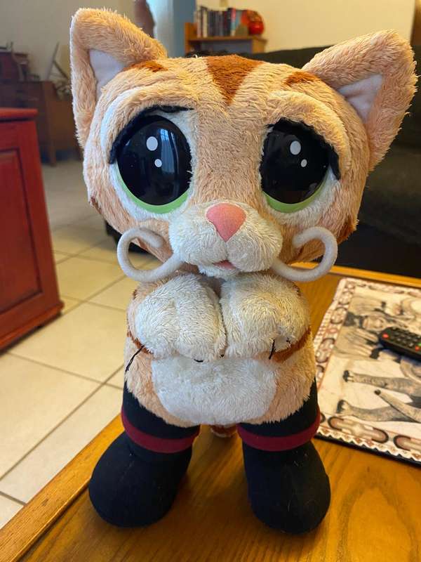 Puss and boots from Shrek