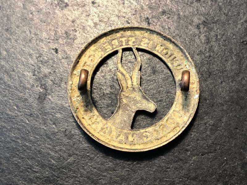 Bronze South African "Union is Strength/Eendrag Maak Mag" badge with Springbok
