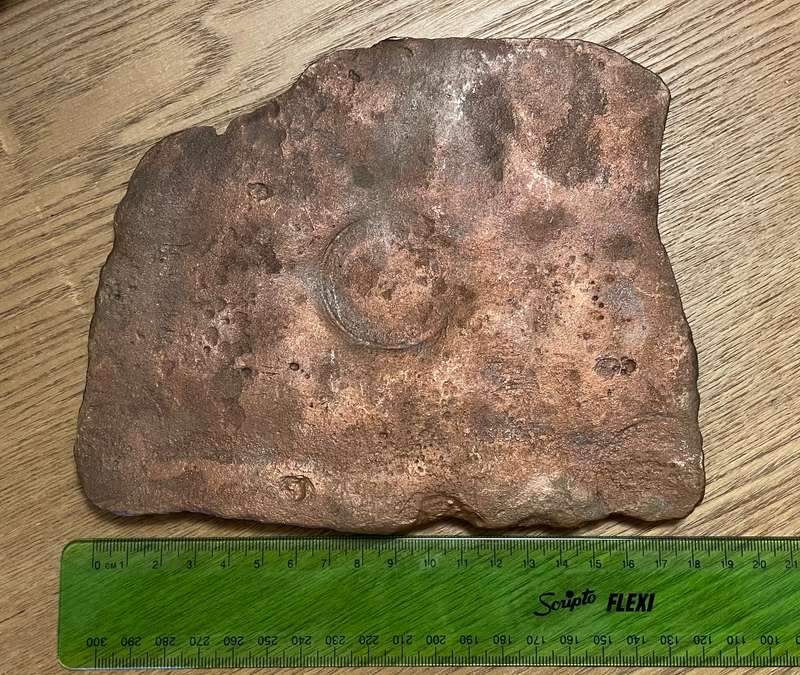 Shipwreck Plate money coin From the Nicobar shipwreck wrecked in 1783 near Cape Agulhas - lot 1 of 3