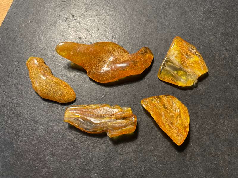 Parcel of 5 Pieces of beautiful genuine raw Baltic amber - Total weight 120 ct
