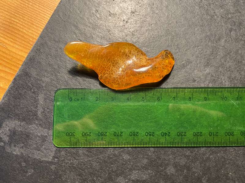Parcel of 5 Pieces of beautiful genuine raw Baltic amber - Total weight 120 ct
