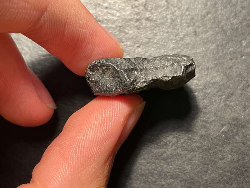 Lot 1 of 4 - Ancient ammonite fossil as per photo
