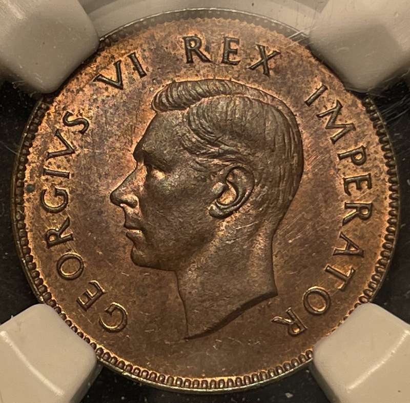 Beautiful 1942 SA Union 1/4 penny coin Graded MS64BN by NGC - Bakewell Collection