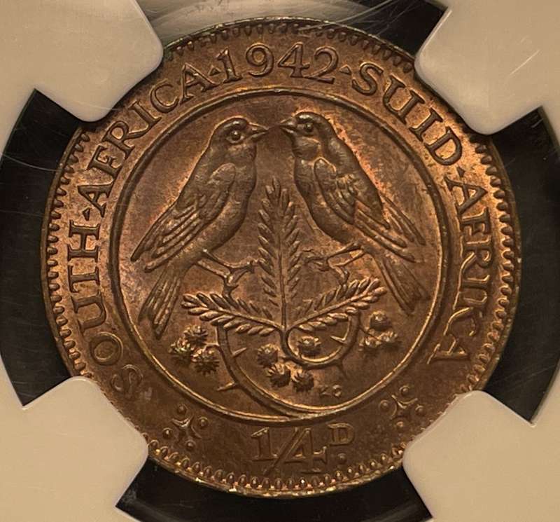 Beautiful 1942 SA Union 1/4 penny coin Graded MS64BN by NGC - Bakewell Collection