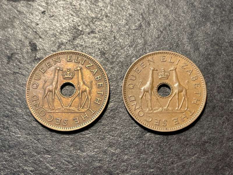 Lot of 2x Rhodesia and Nyasaland bronze half (1/2) penny coins from 1955