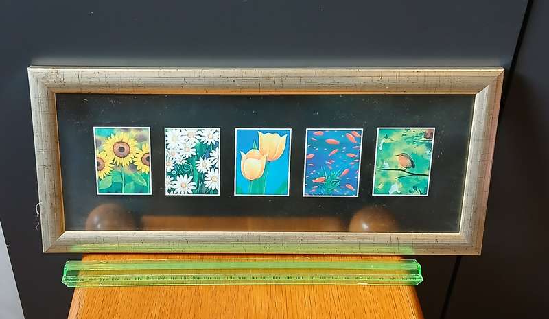 Pictures framed in glass x 8
