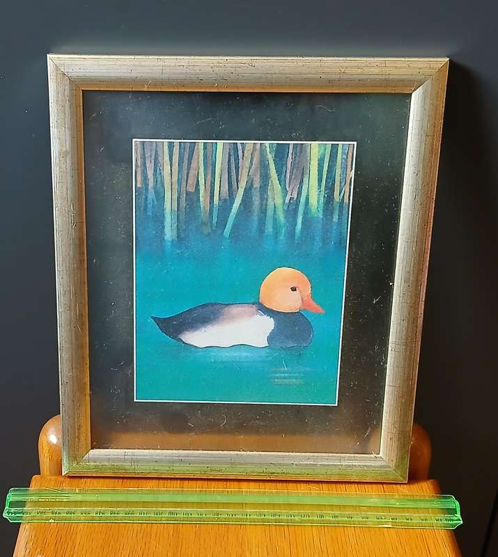 Pictures framed in glass x 8