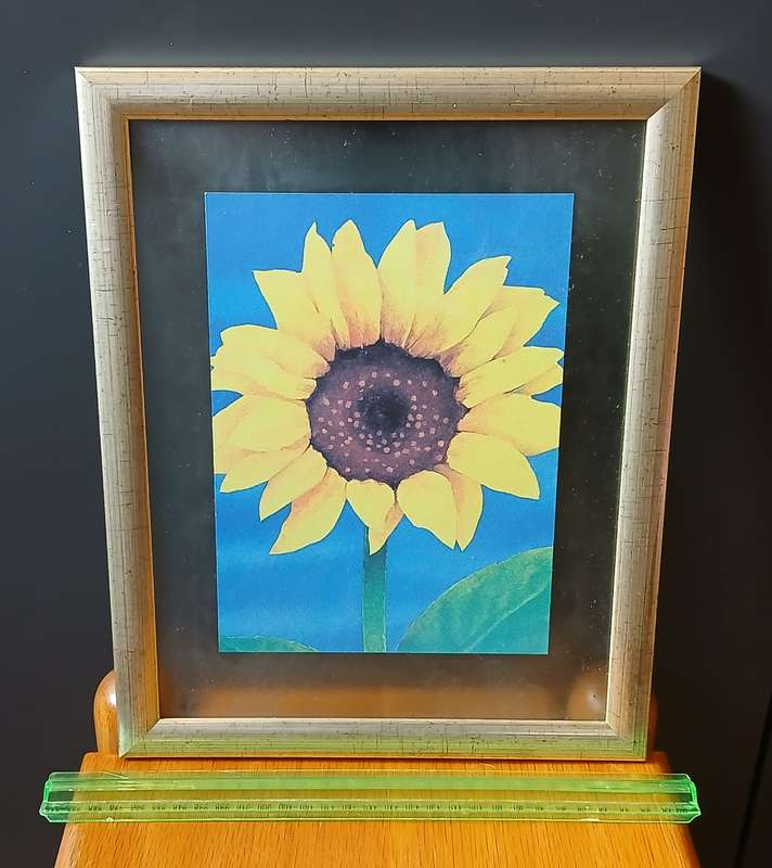 Pictures framed in glass x 8