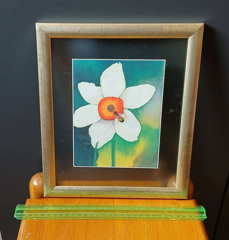 Pictures framed in glass x 8